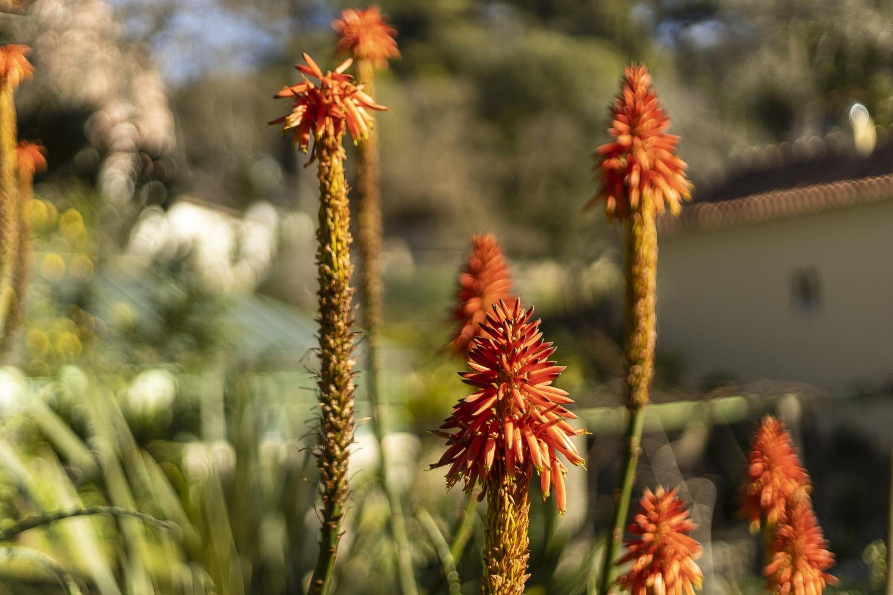 Sintra Marmoris Palace — photo 82