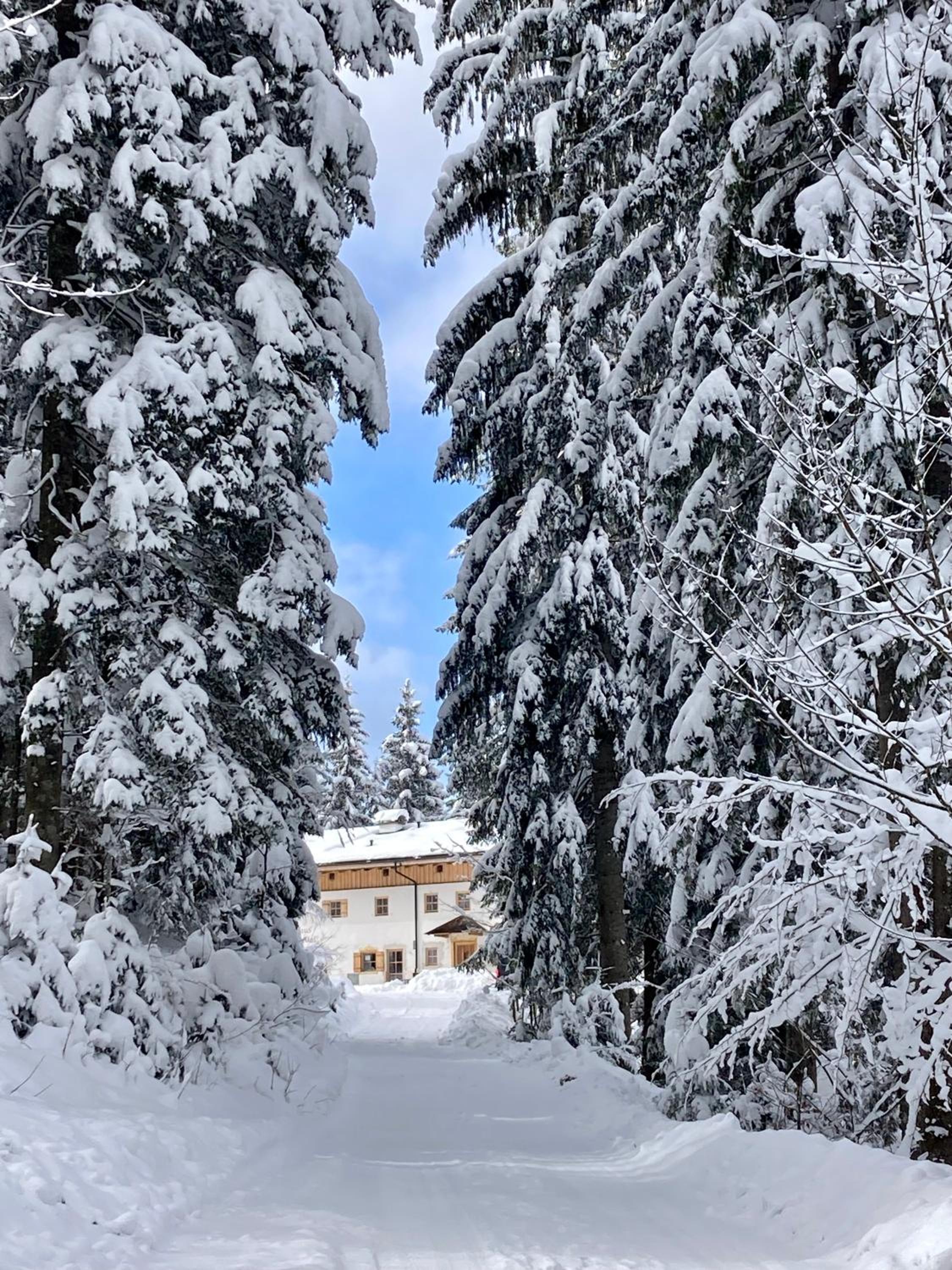 Alpeltalhütte