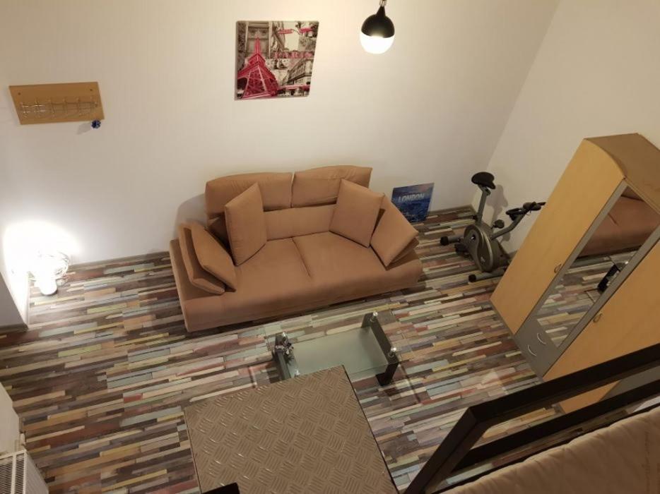 Young Downtown Apartment view 4