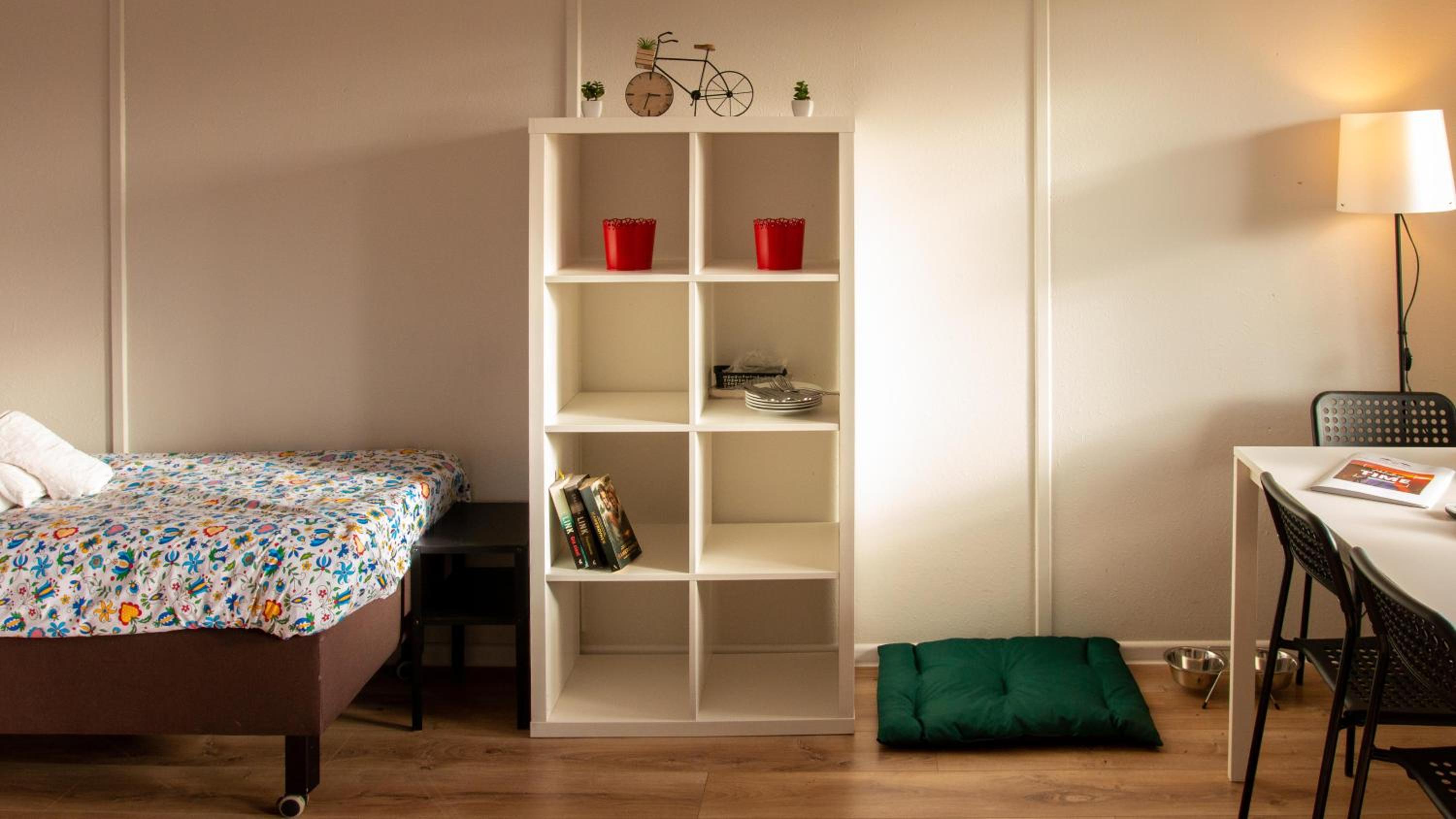 Photo 19