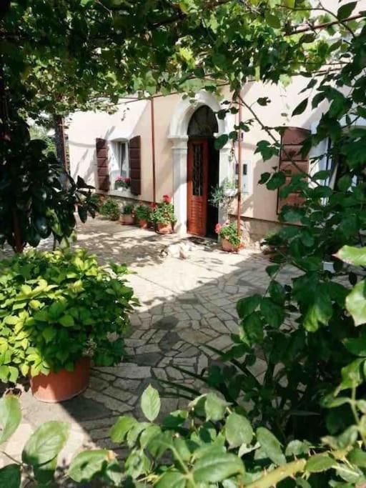 New renovated appartment Mauri