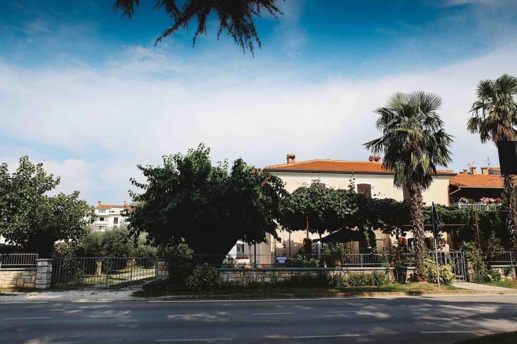 New renovated appartment Mauri