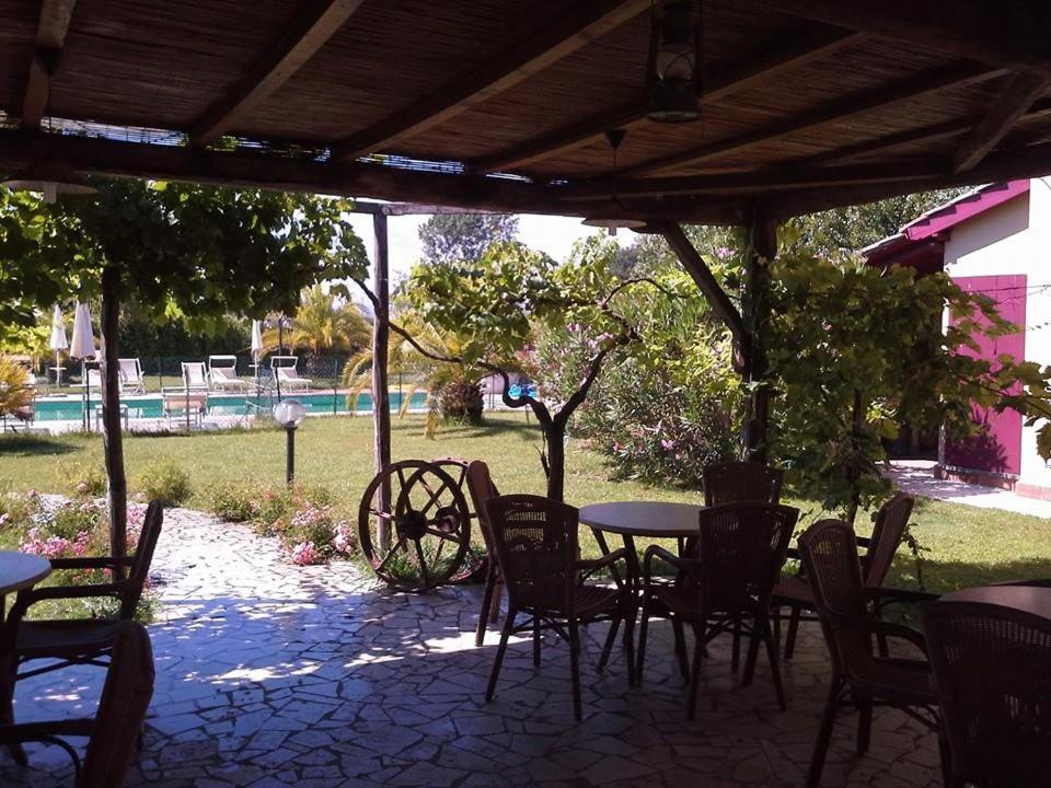 Photo 49