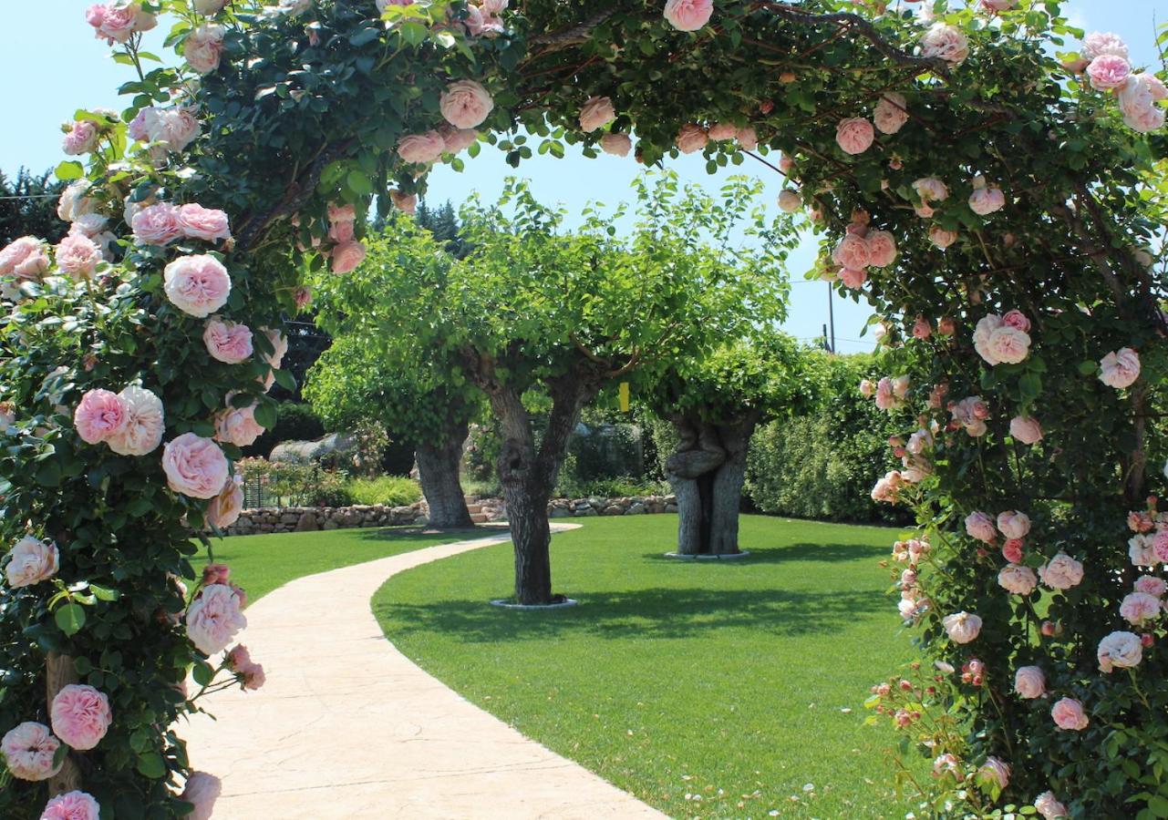 Agriturismo e Agricamping Le Nosare