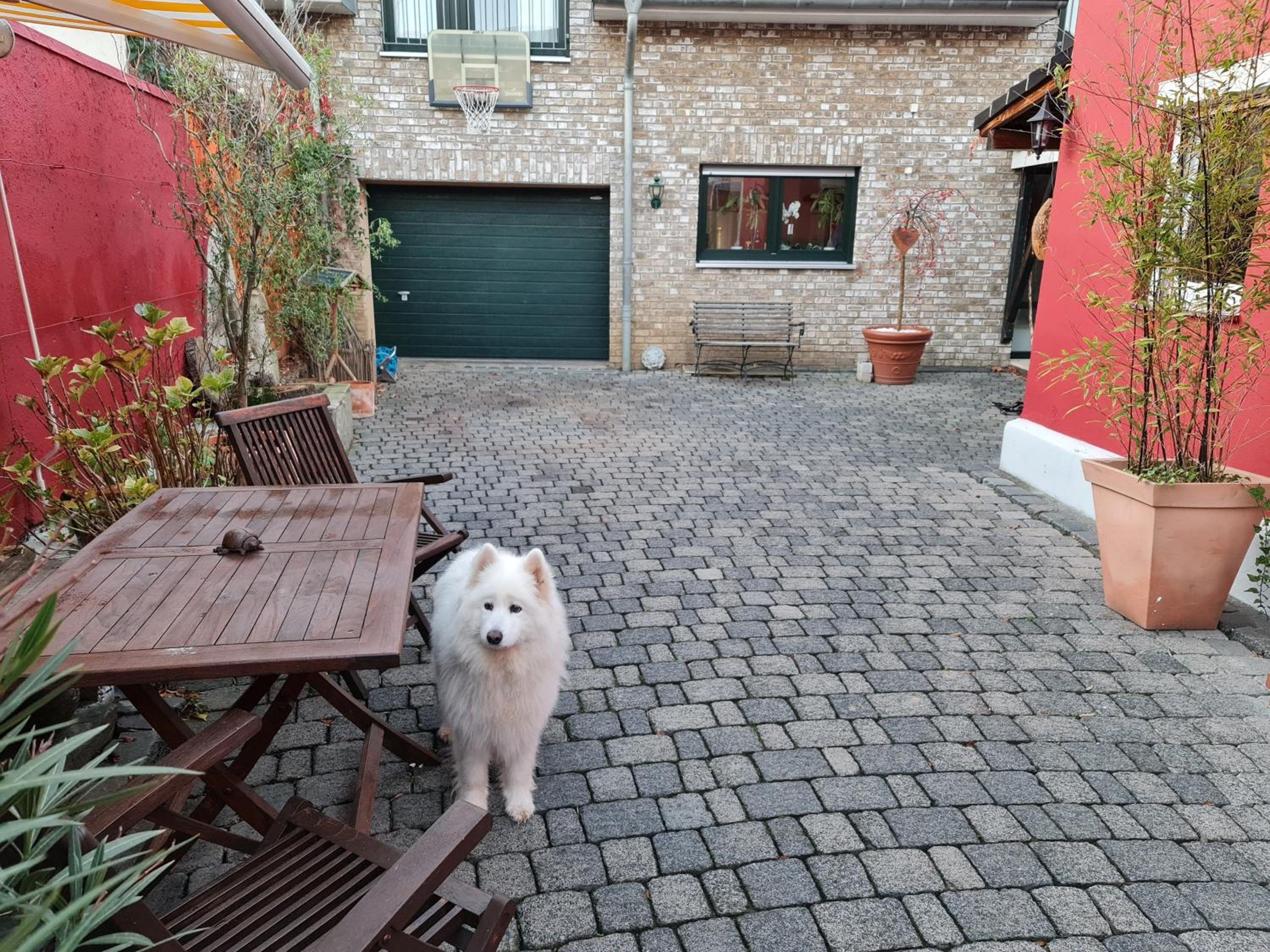 Schönste Lage am Rhein, behagliches Haus mit Kamin.