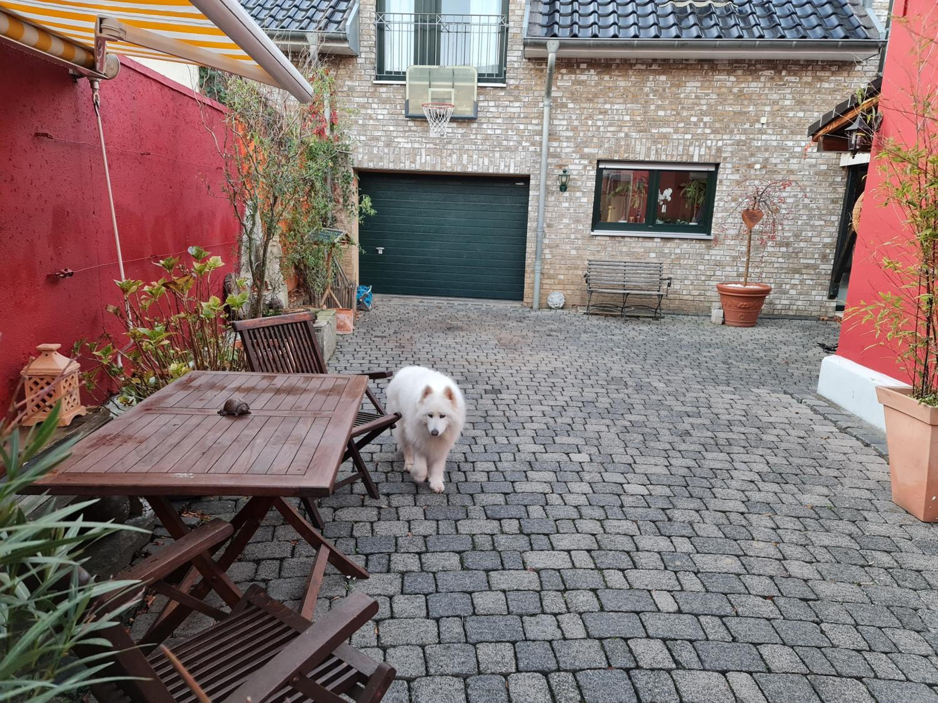 Schönste Lage am Rhein, behagliches Haus mit Kamin.