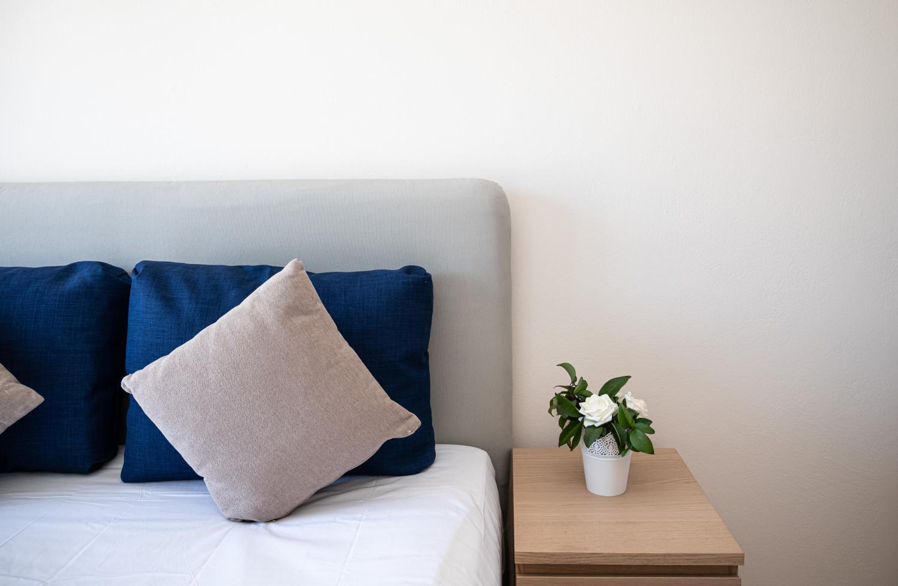 Saint Francis Apartment photo 5