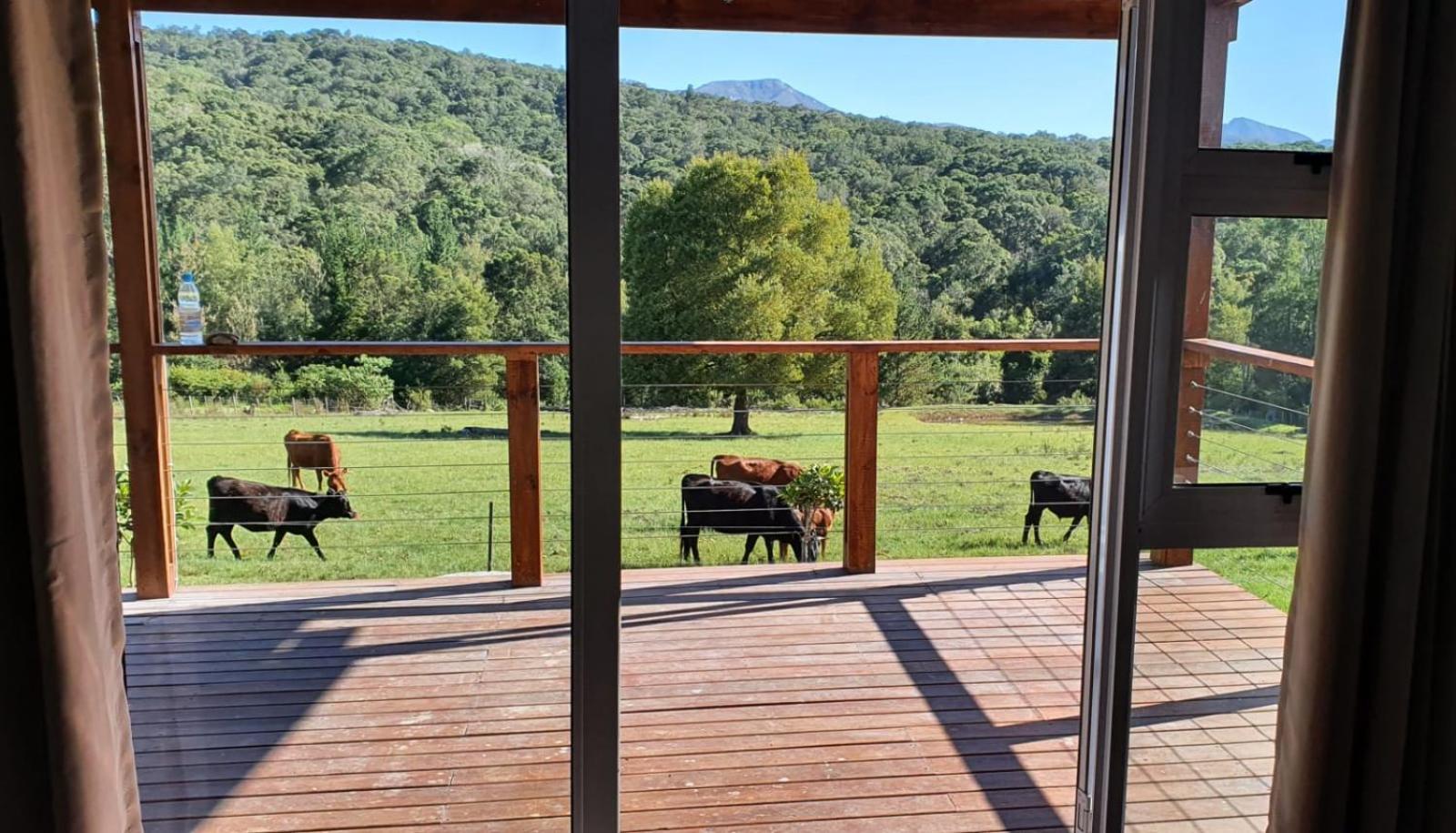 Makarios Guest Farm view 3