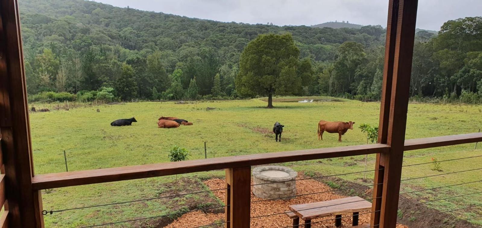 Makarios Guest Farm view 2
