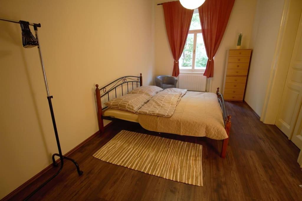 Comfort 2Bedrooms quite place!-Vinohrady