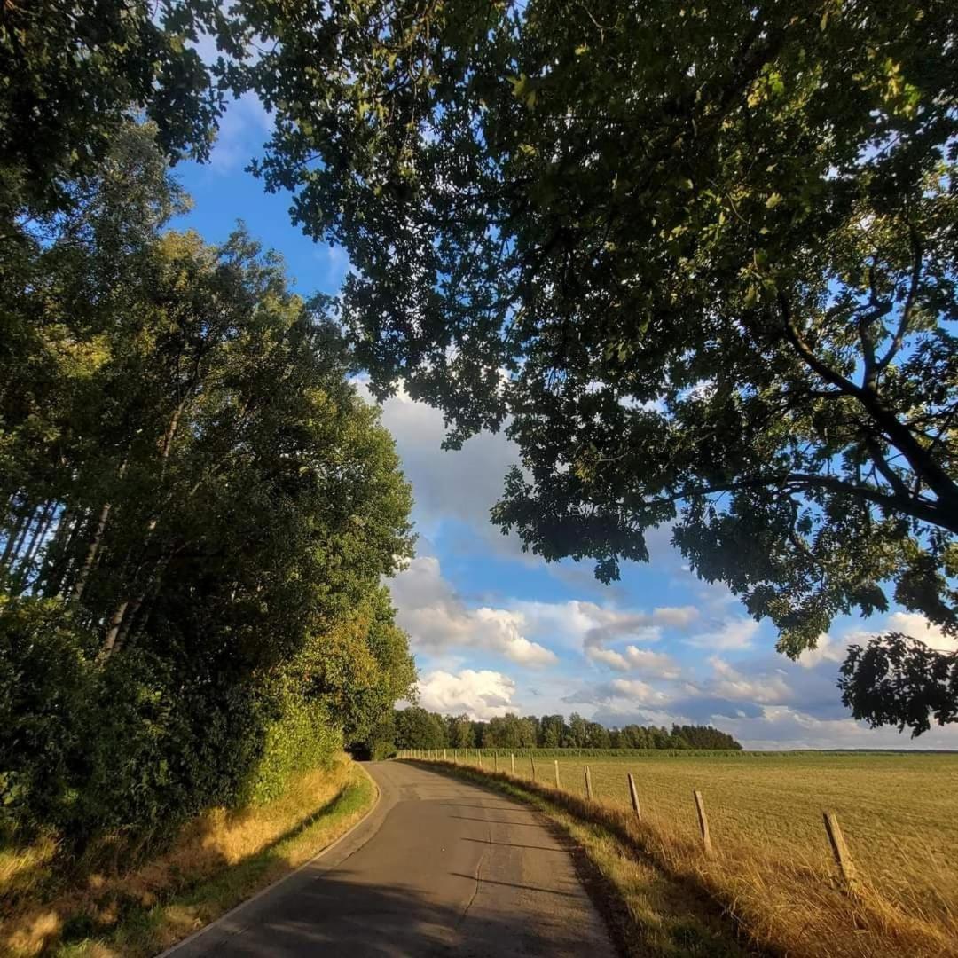 La Belle Vue