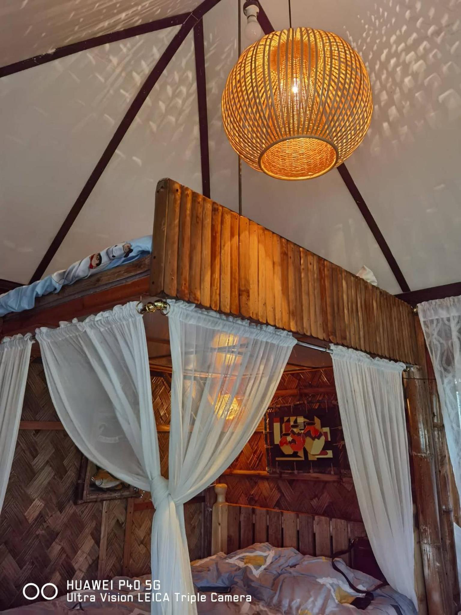 Remy's Nest