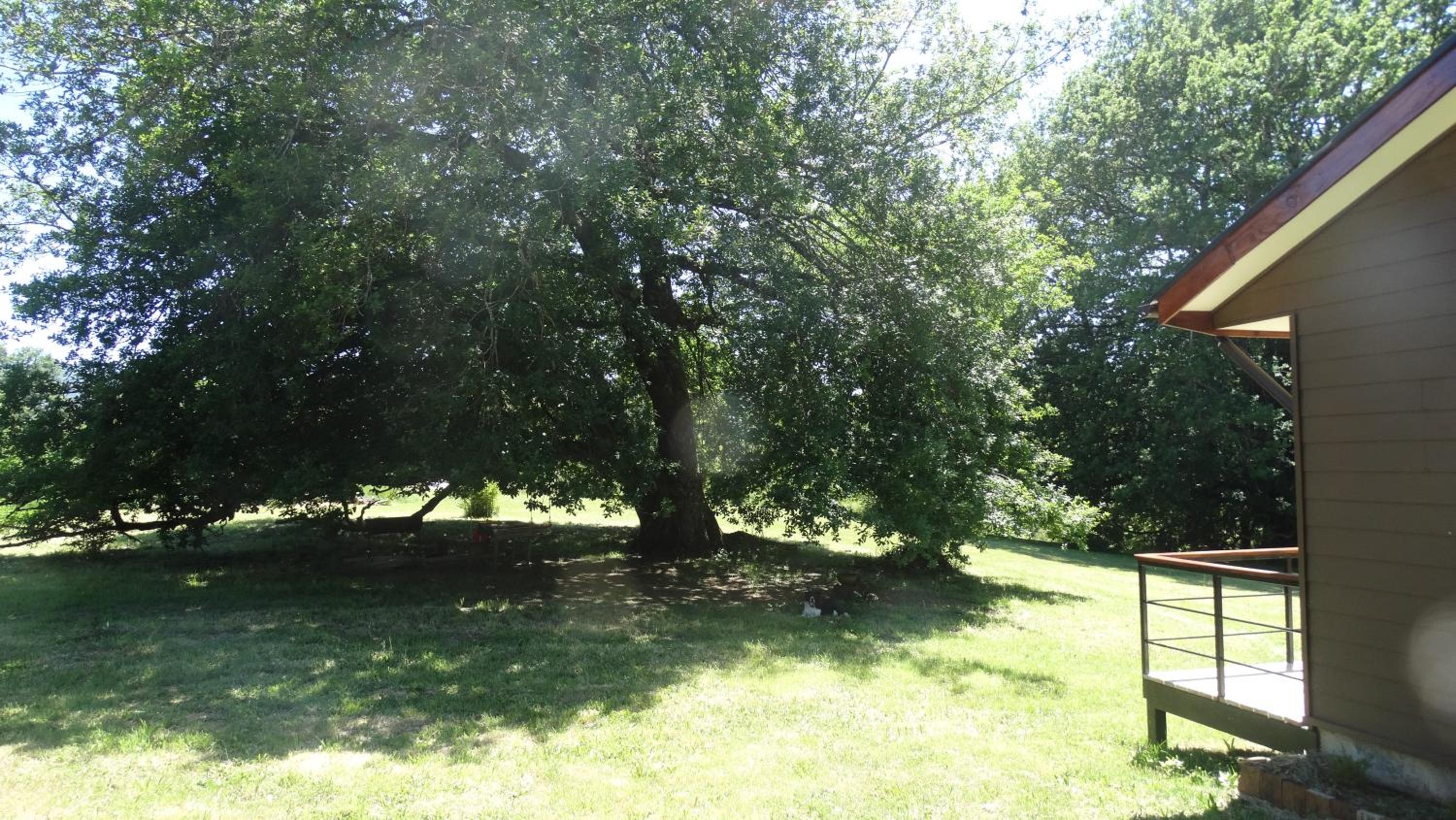 Parcela Parulus