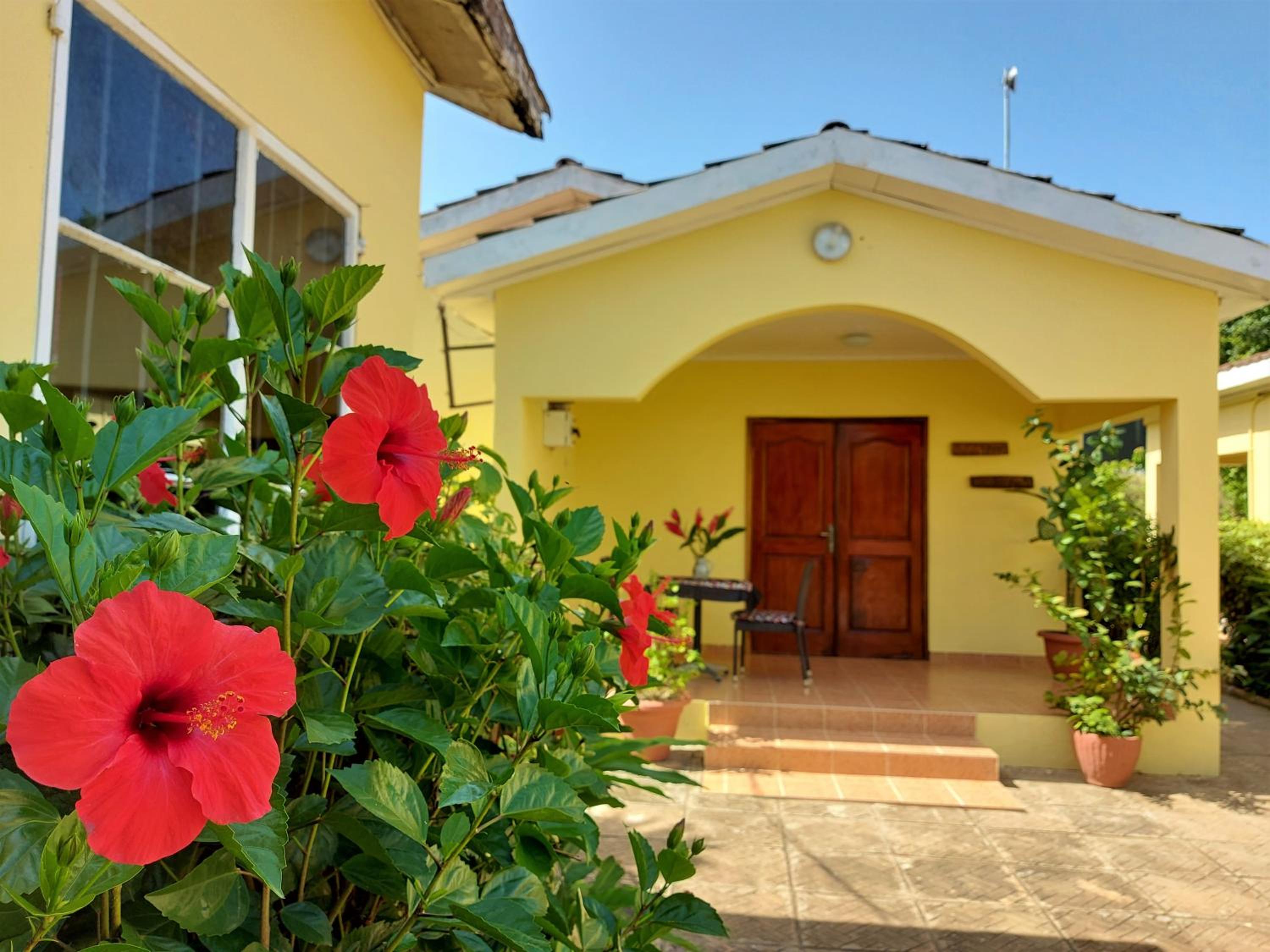 Bougainvillea House