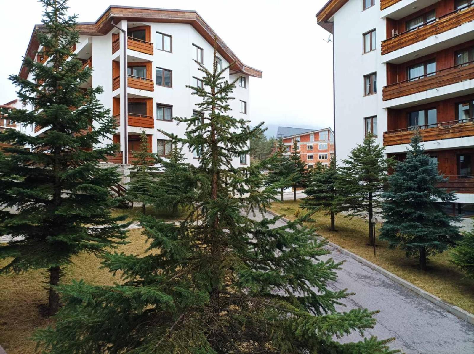 Apartment 2 Detelina Residence