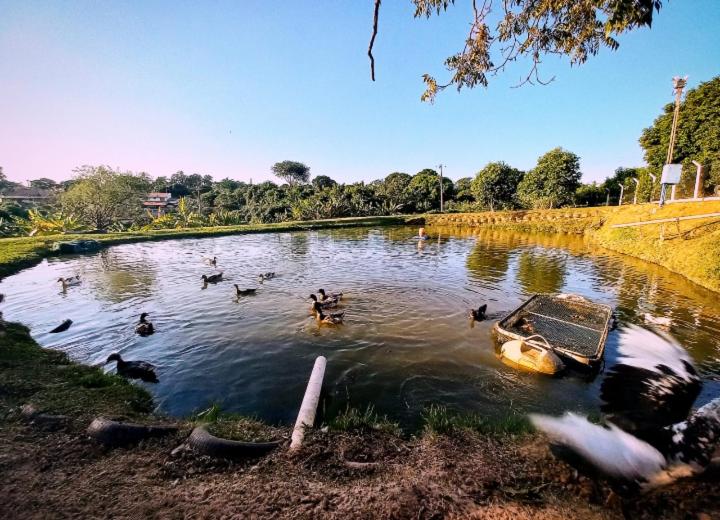 Interior de São Paulo - CASA DE CAMPO TÔ NA BOA