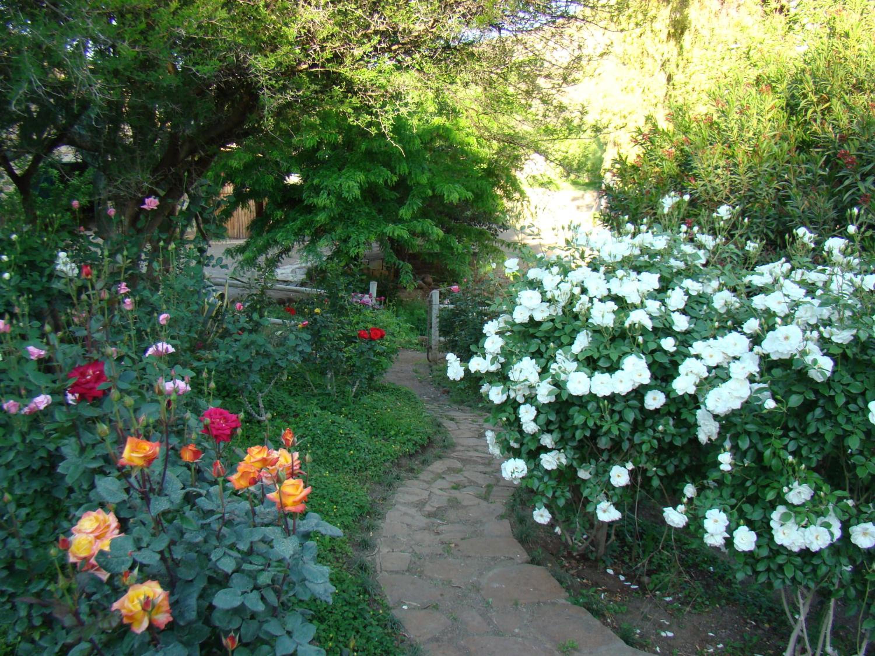 Photo 76