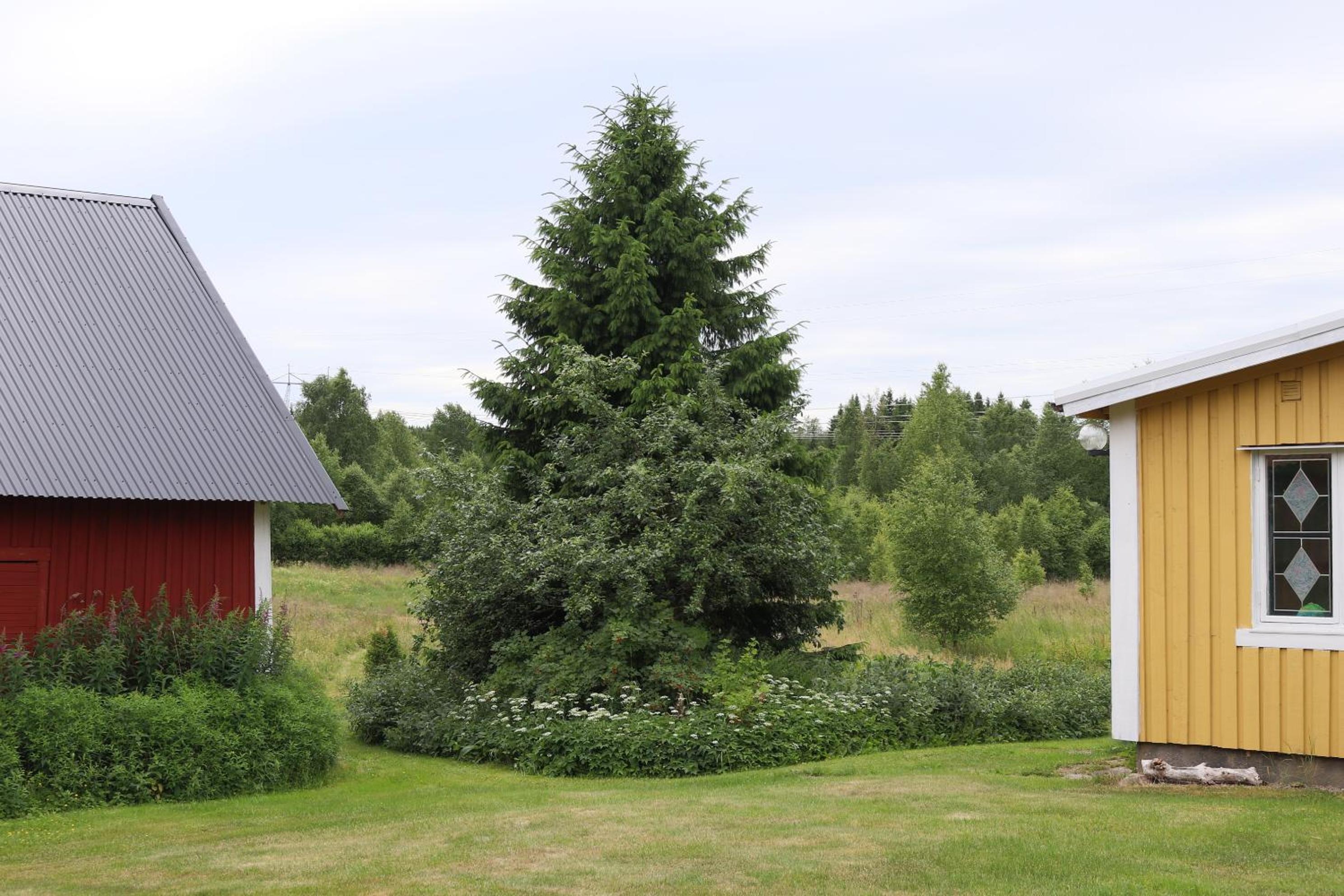 ELGGÅRDEN