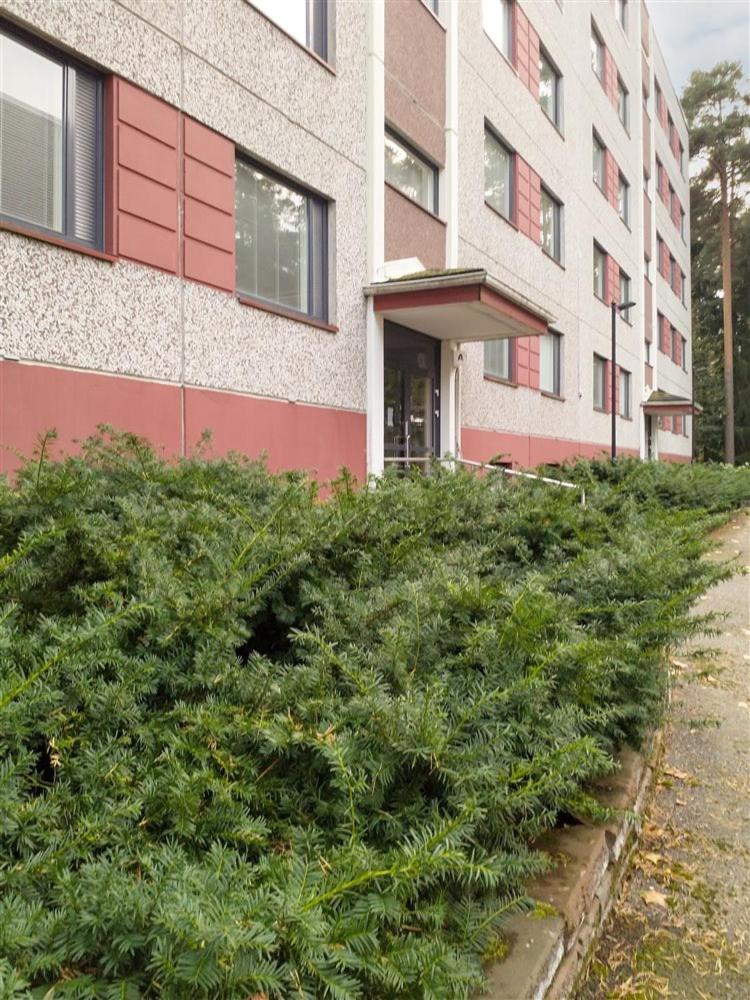 Casa Merikotilo merellisessä Meriraumassa.
