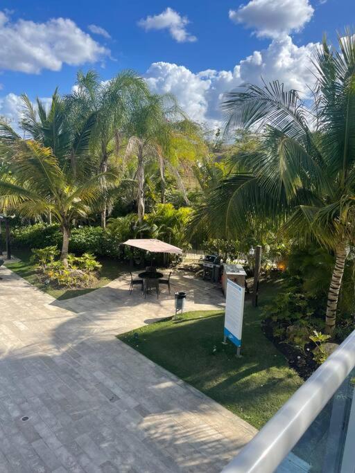 Mountain View Cibao