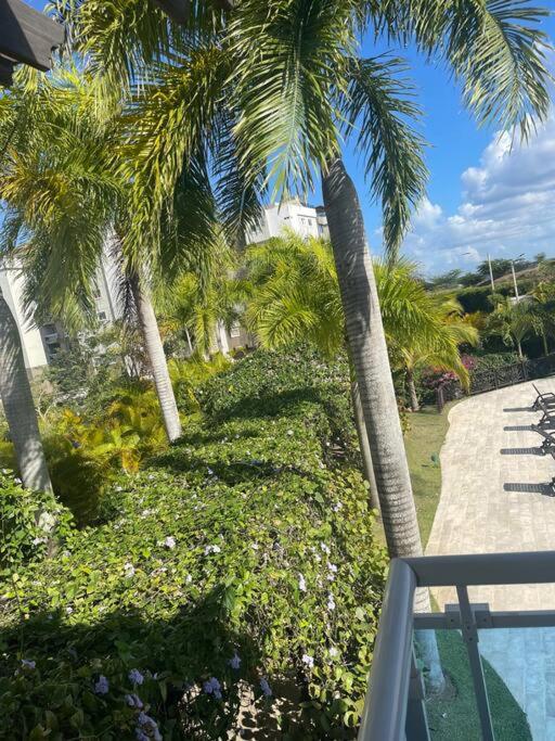 Mountain View Cibao