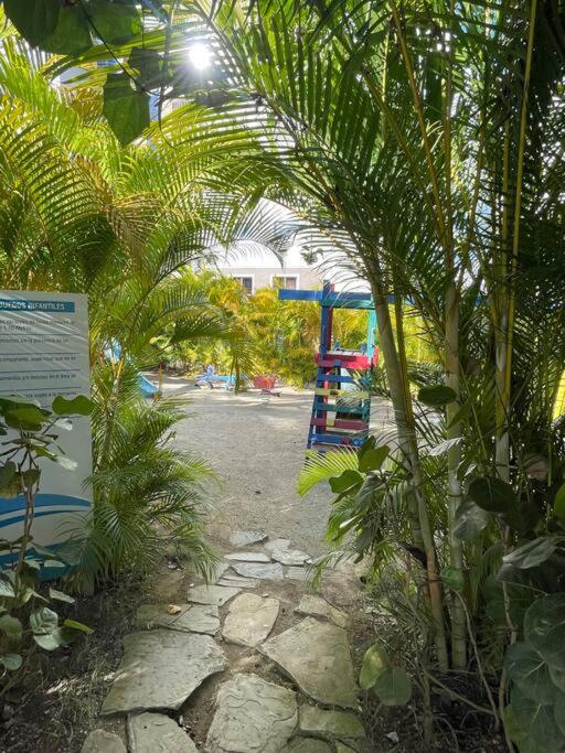 Mountain View Cibao