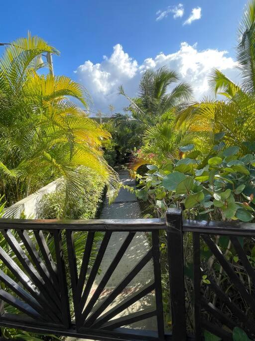 Mountain View Cibao