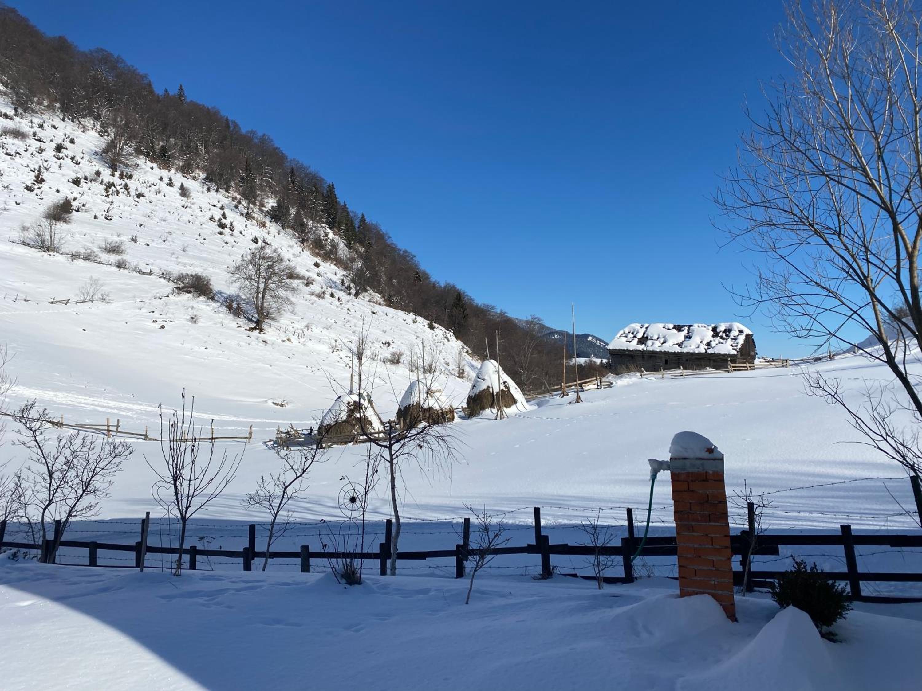 Odăile Craiului view 2