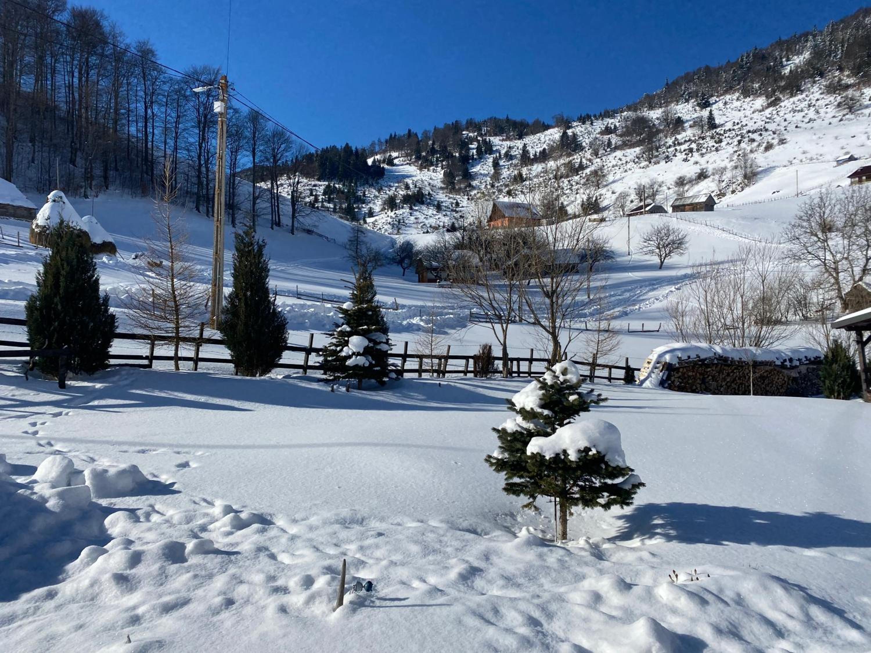 Odăile Craiului view 4