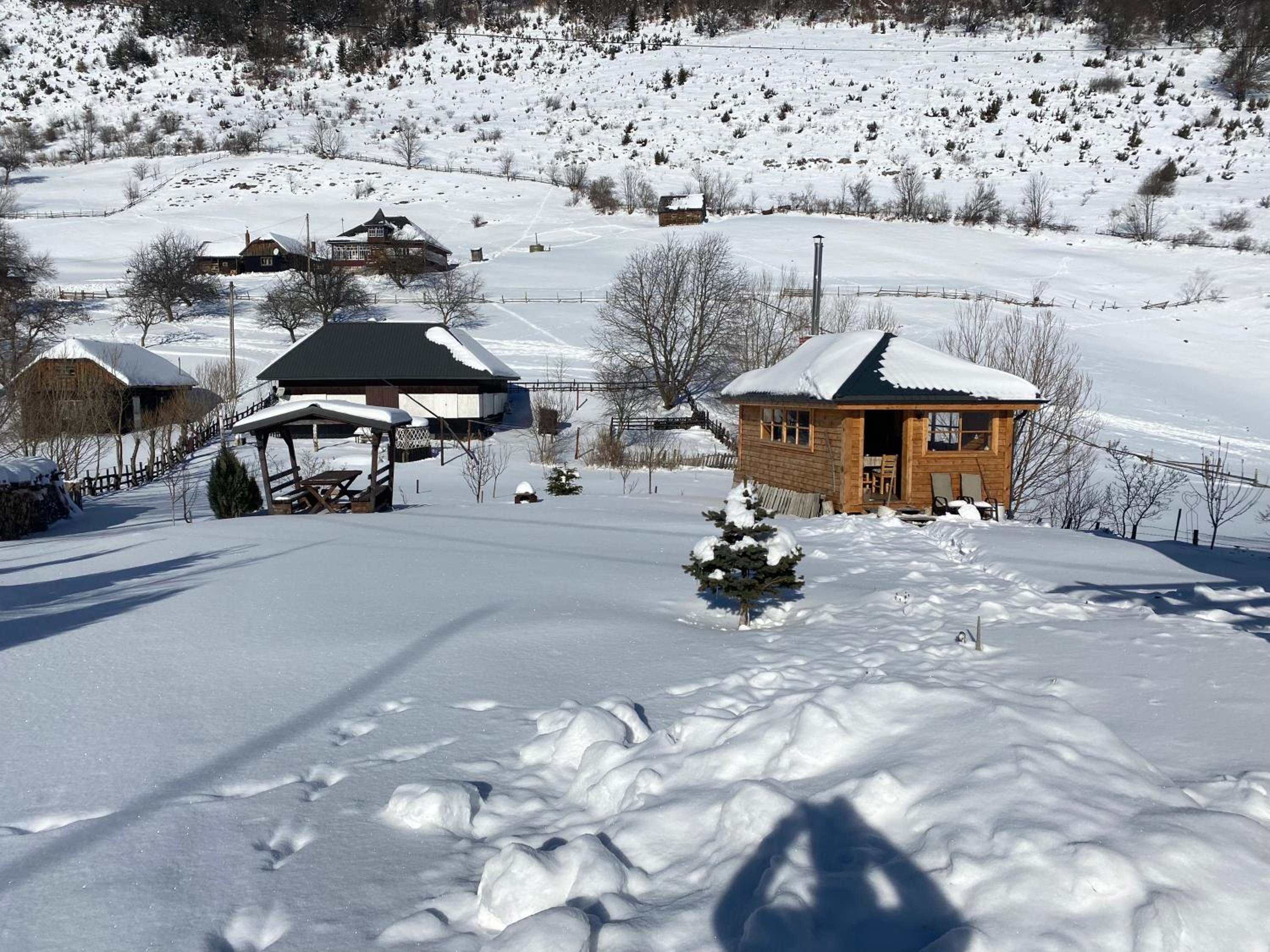 Photo 10