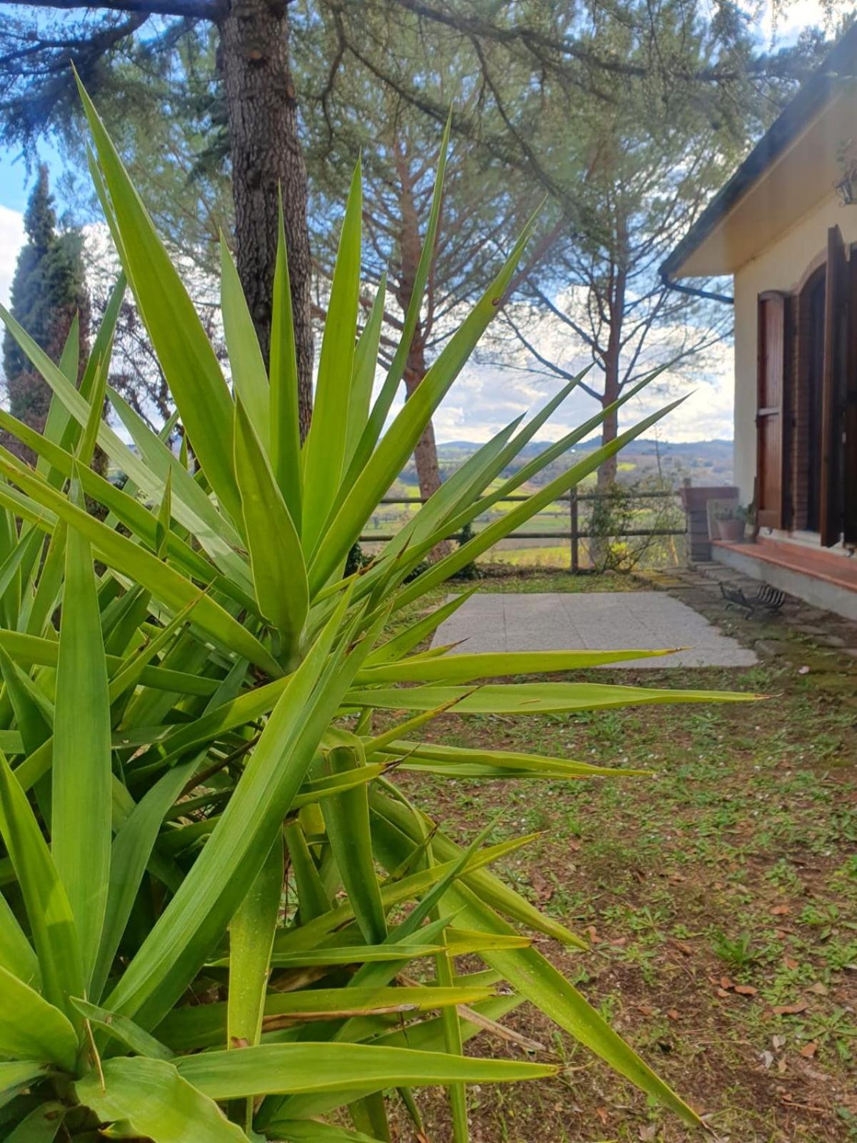8380 Saturnia Terme Dependance view 5