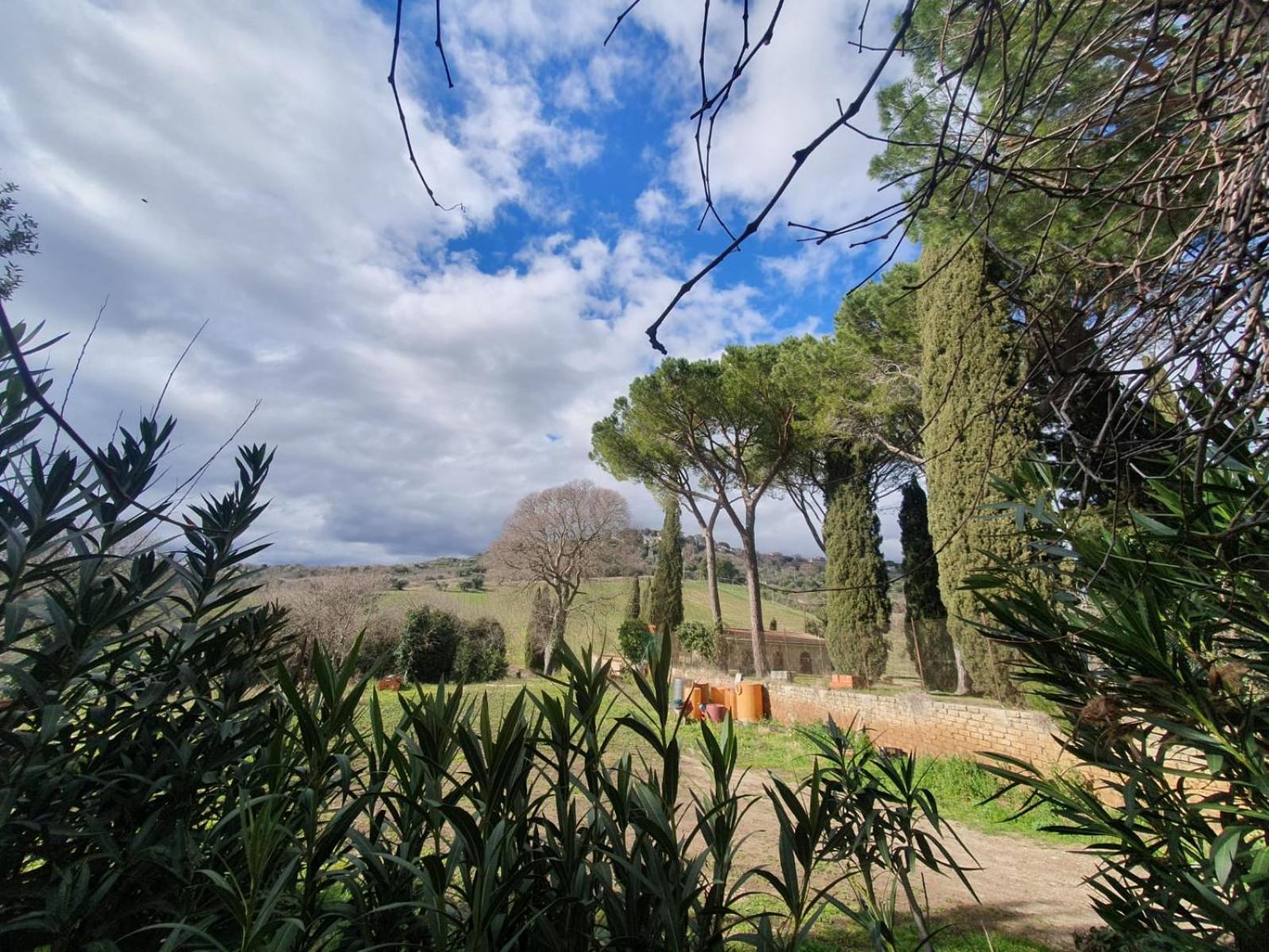 8380 Saturnia Terme Dependance view 4