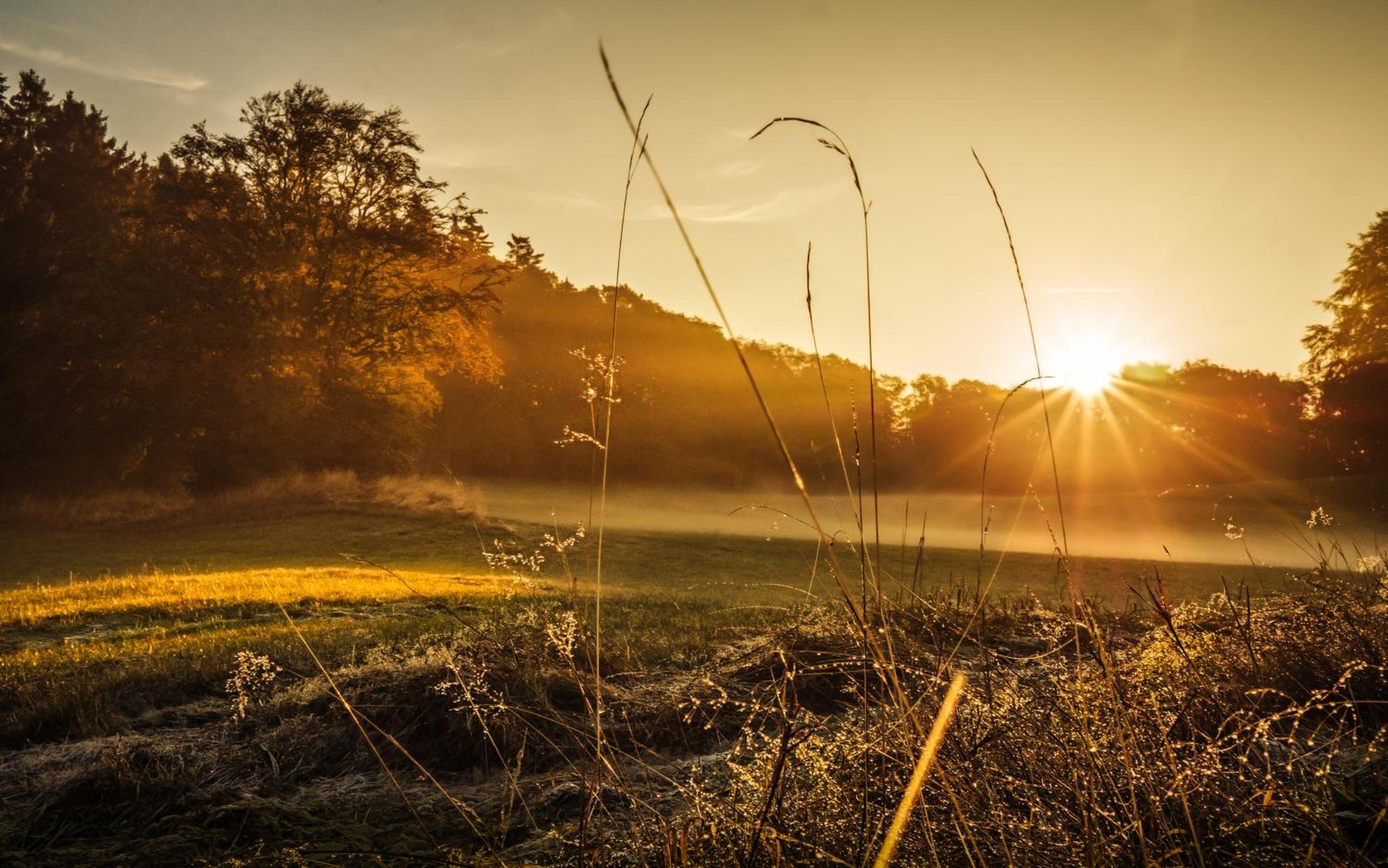 Sauerland-Häuschen Kleine Auszeit