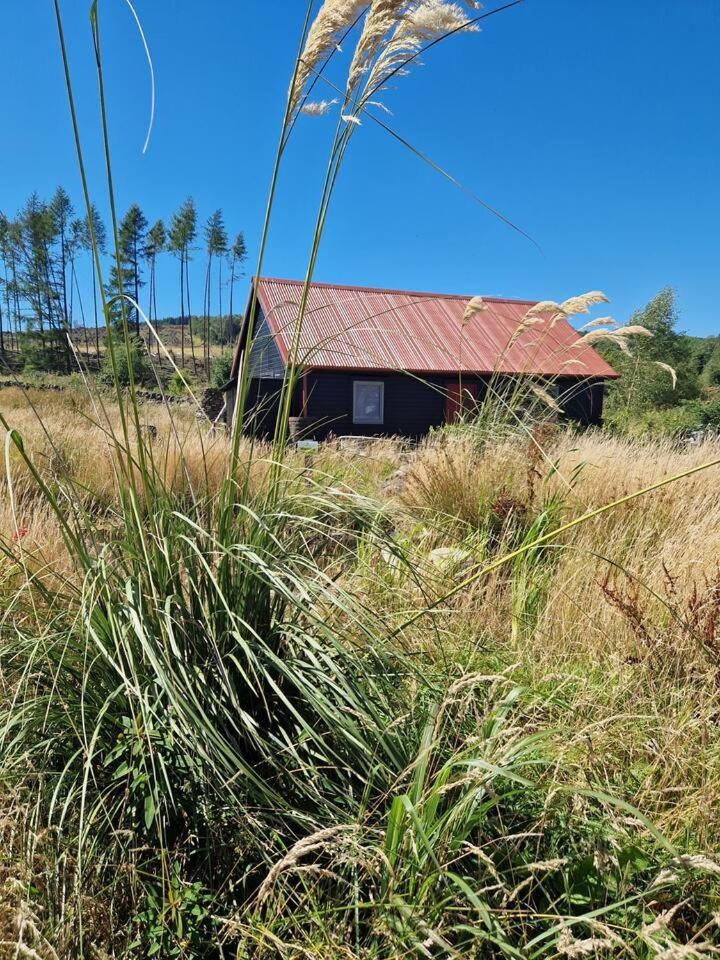 The Bothy In The Park view 5