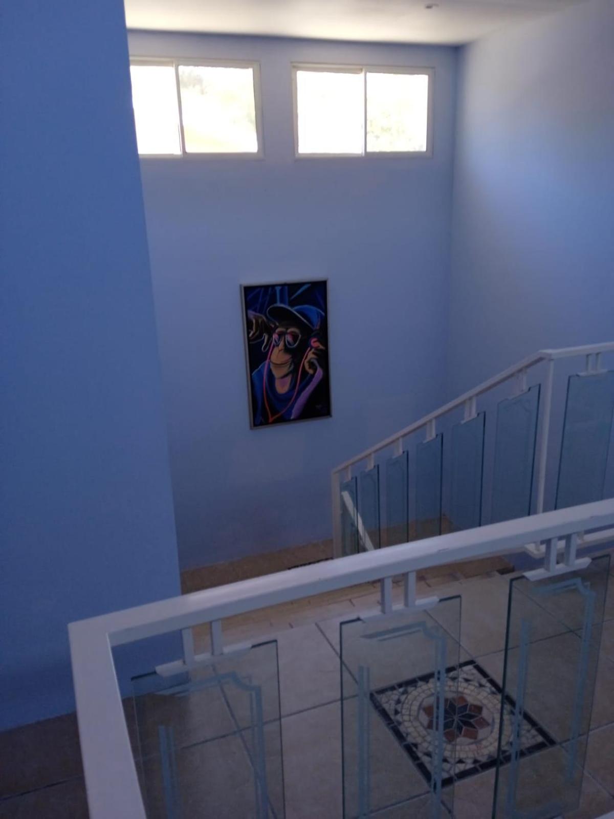 Hotel Mono Azul — photo 2