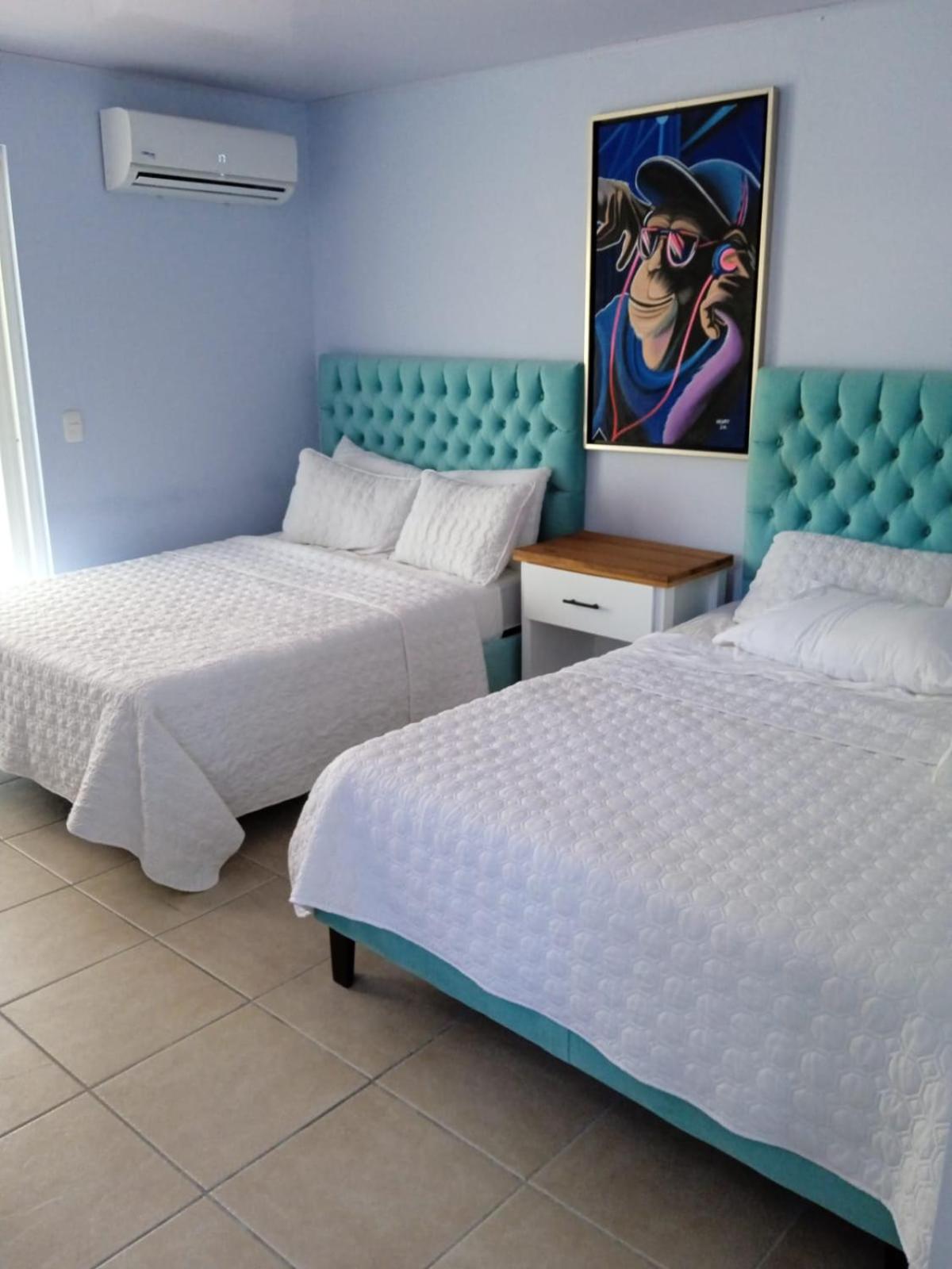 Hotel Mono Azul — photo 3