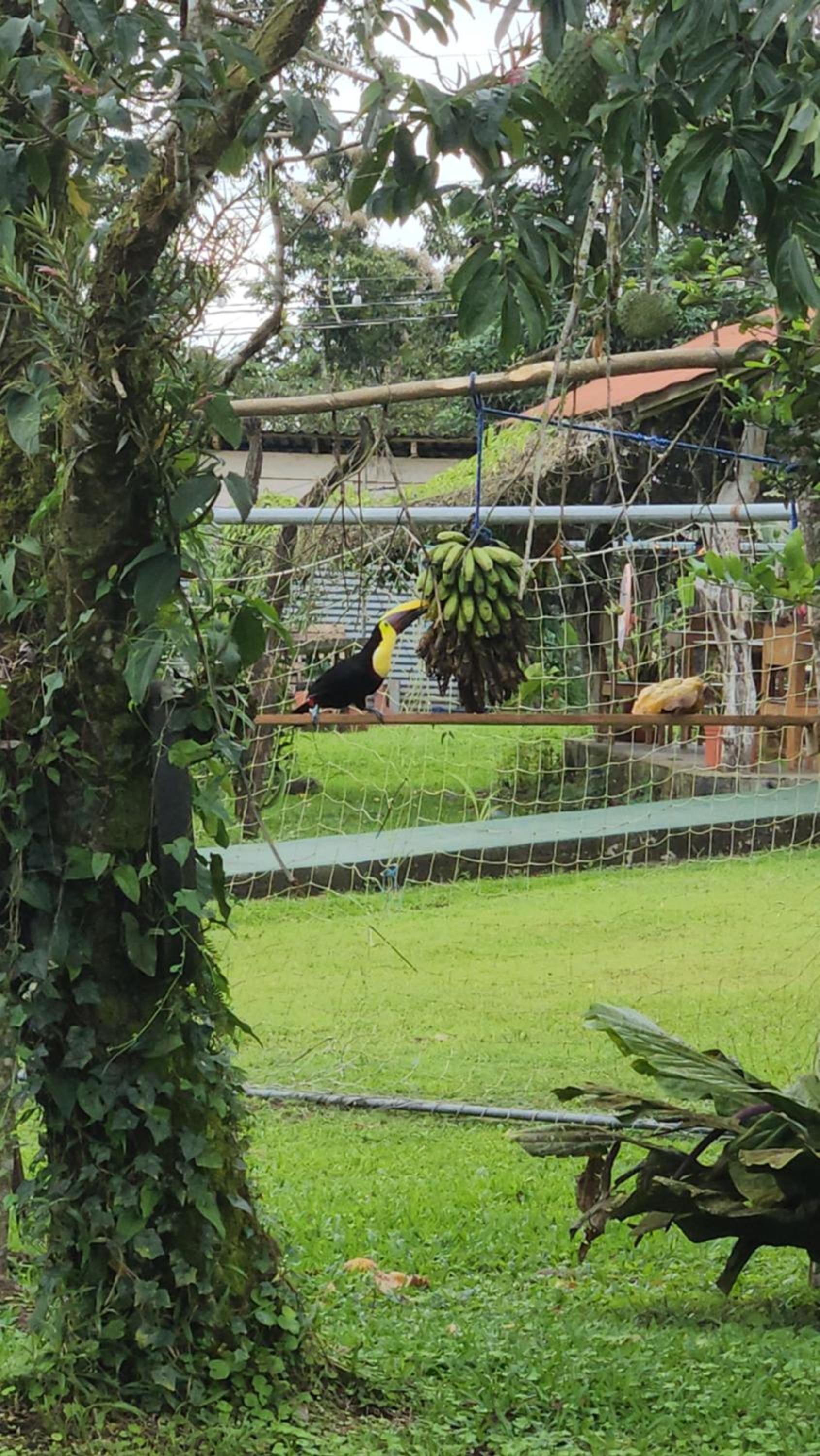 Tío Felix Eco Lodge