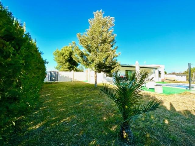 Photo 41