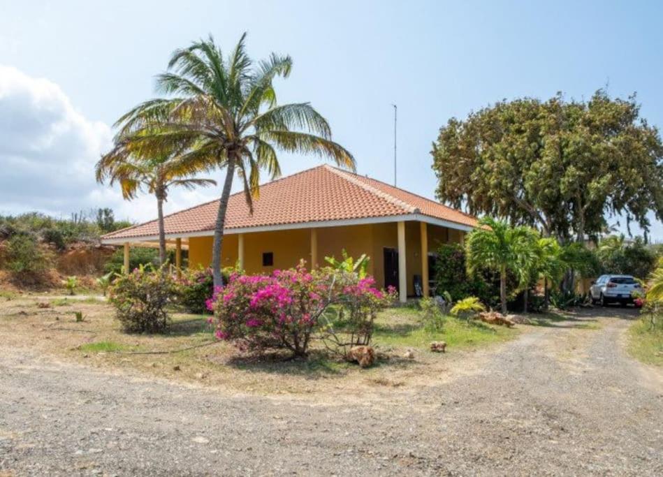 Centrally located spacious apartment