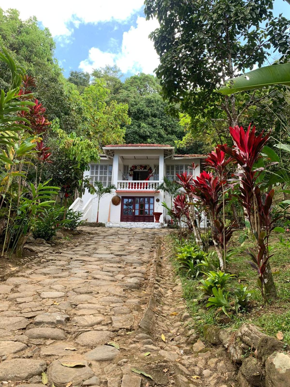 Casa Hotel Arcadia Minca