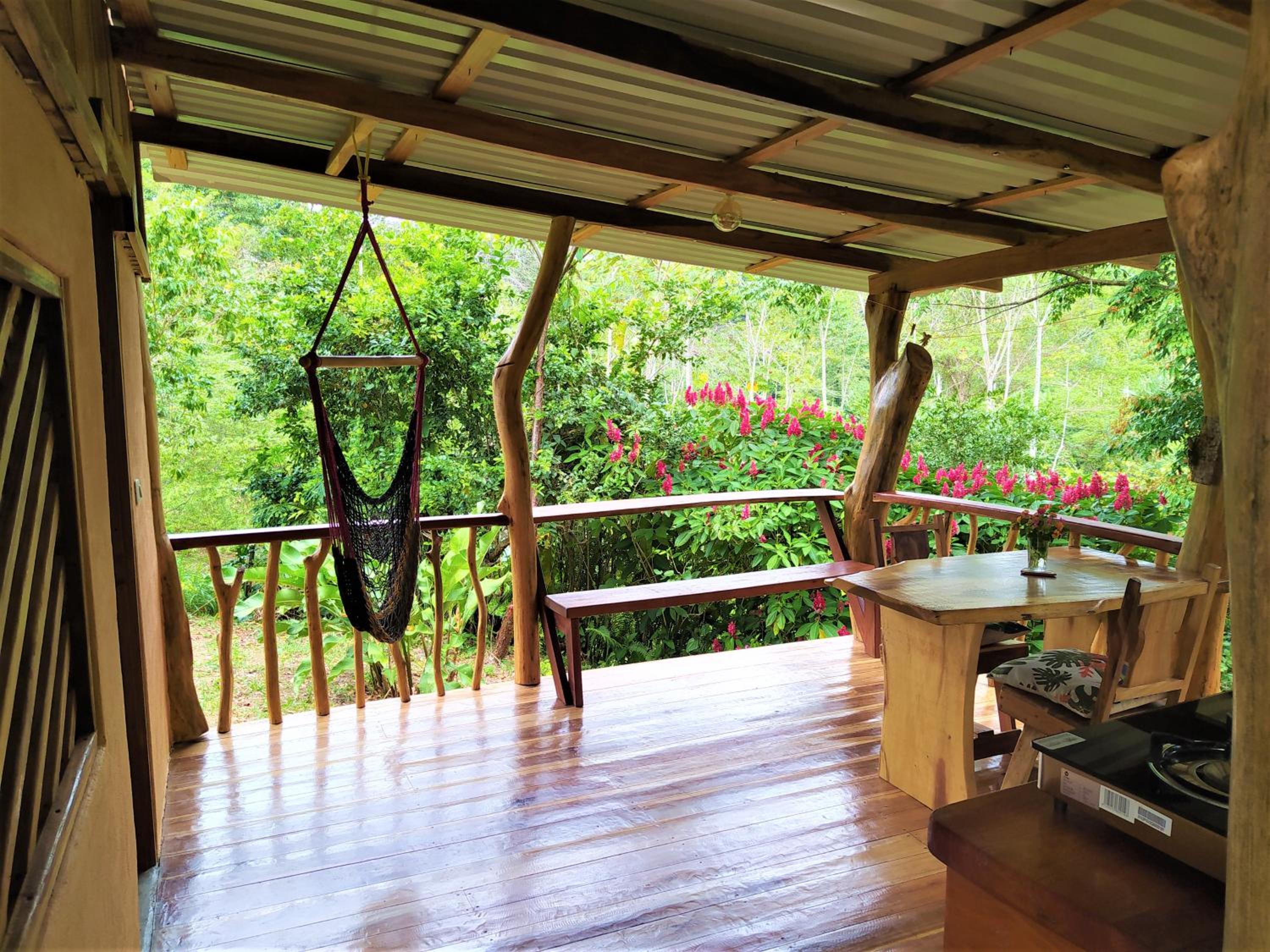 Terra NaturaMa - off grid living in the jungle
