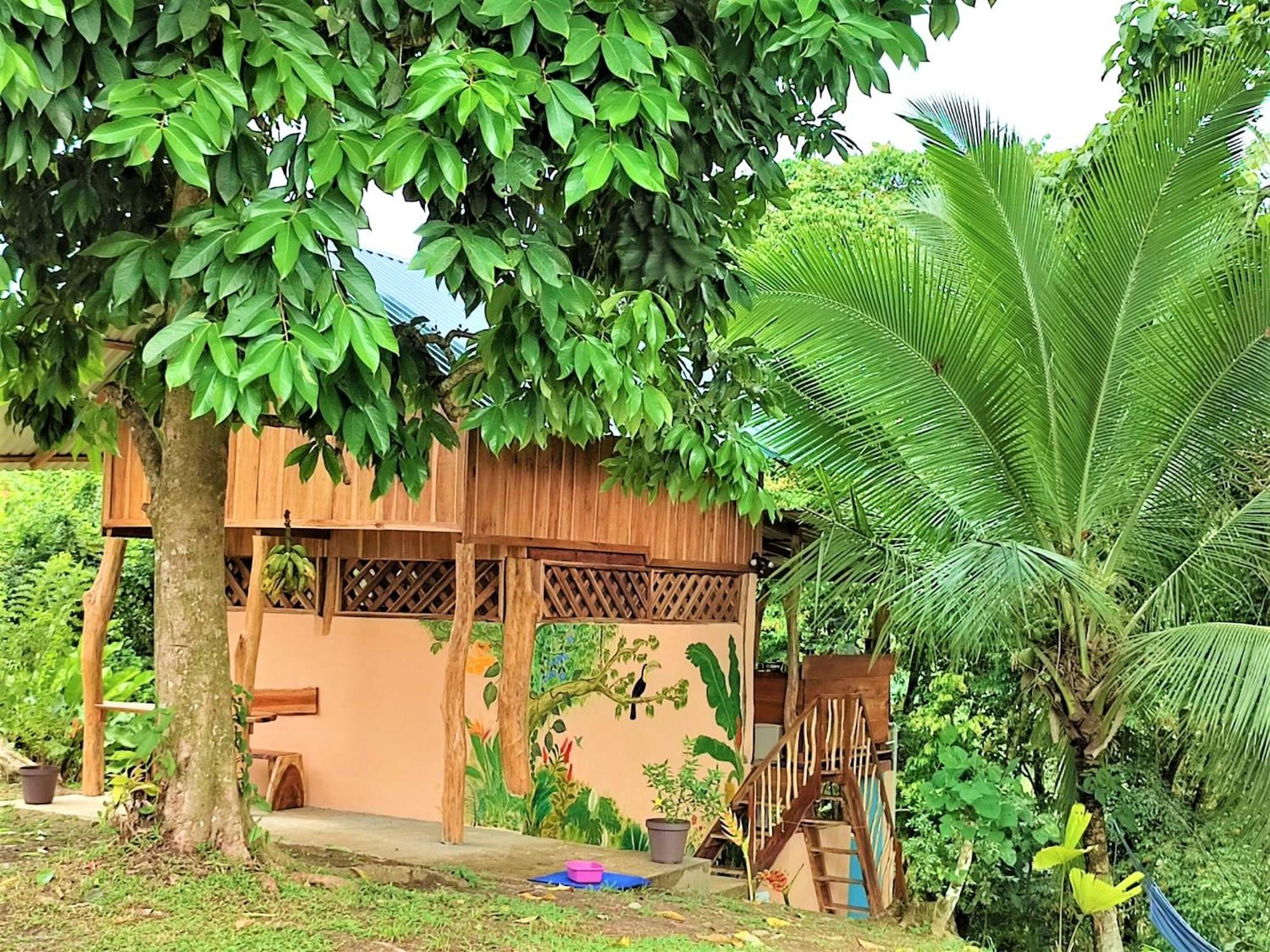 Terra NaturaMa - off grid living in the jungle
