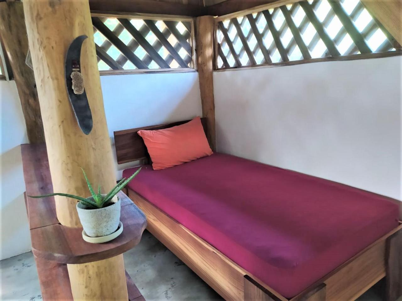 Terra NaturaMa - off grid living in the jungle