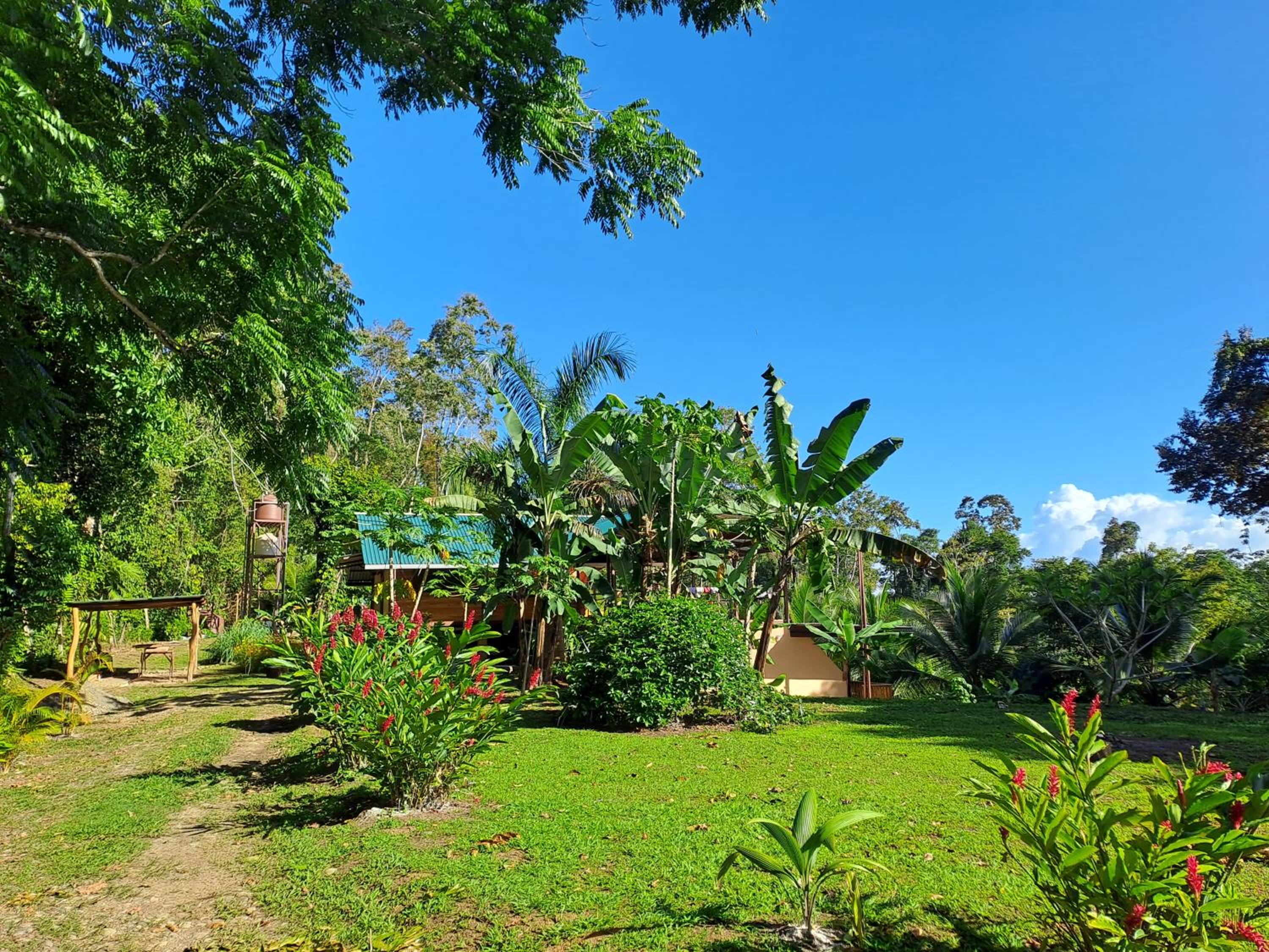 Terra NaturaMa - off grid living in the jungle