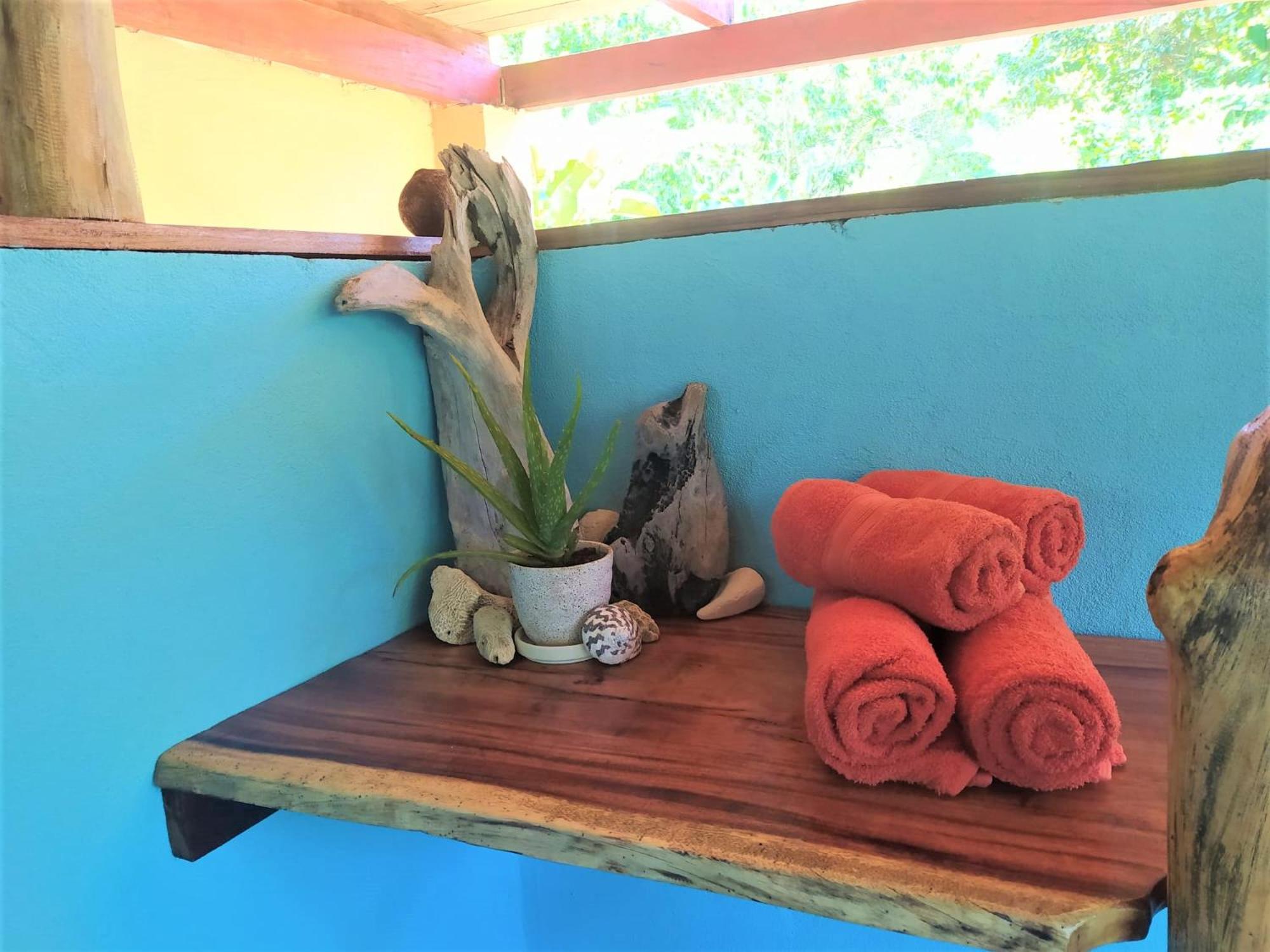 Terra NaturaMa - off grid living in the jungle