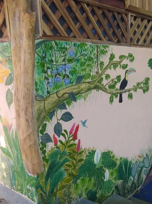 Terra NaturaMa - off grid living in the jungle