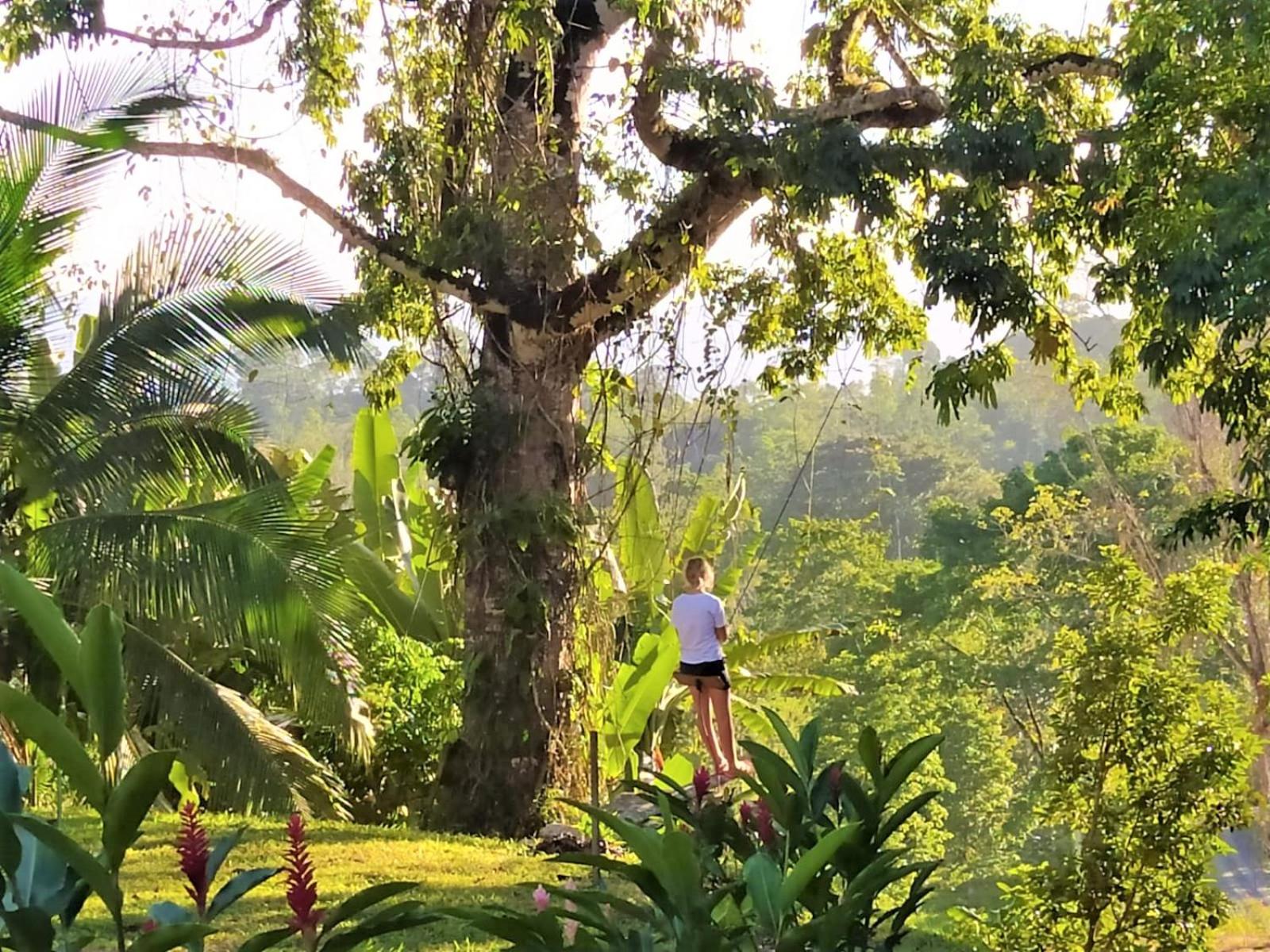 Terra NaturaMa - off grid living in the jungle