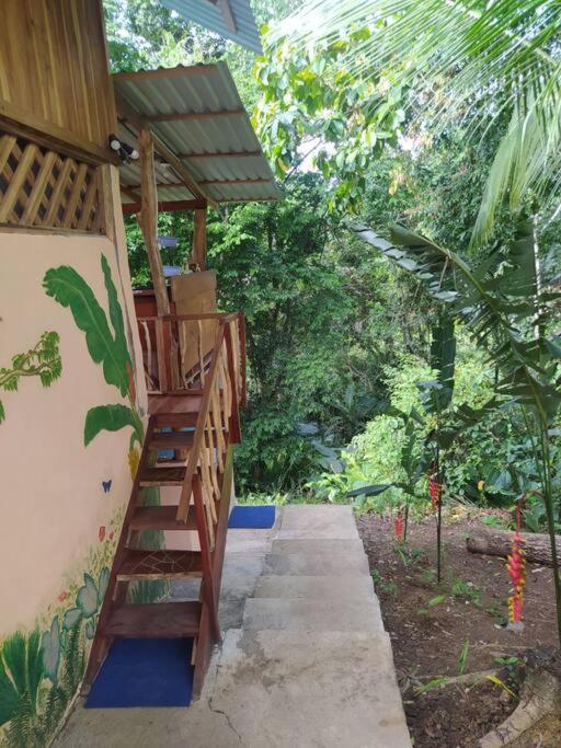 Terra NaturaMa - off grid living in the jungle