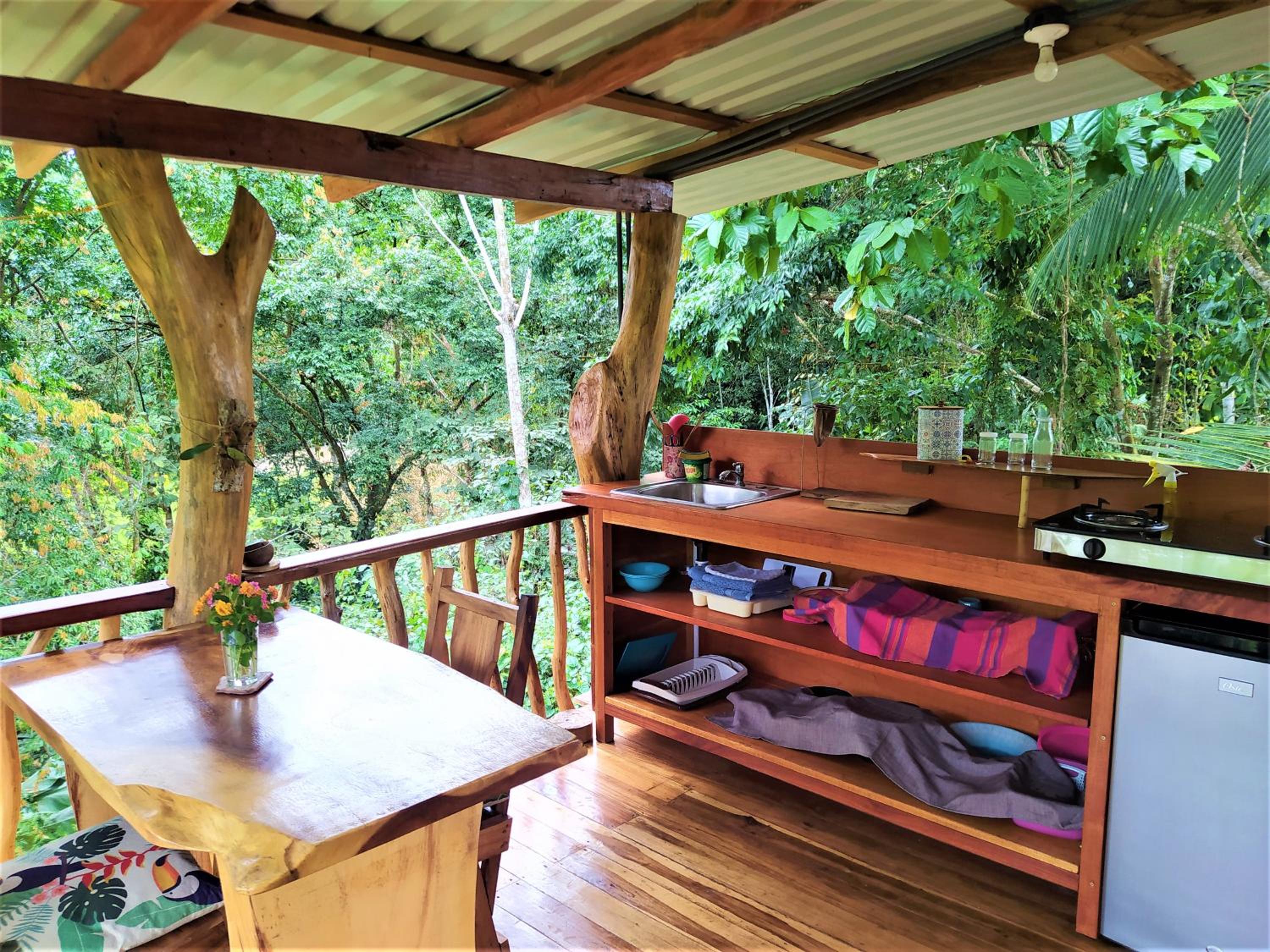 Terra NaturaMa - off grid living in the jungle