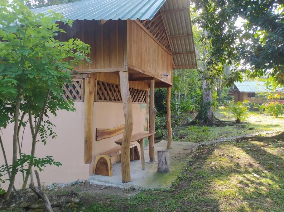 Terra NaturaMa - off grid living in the jungle